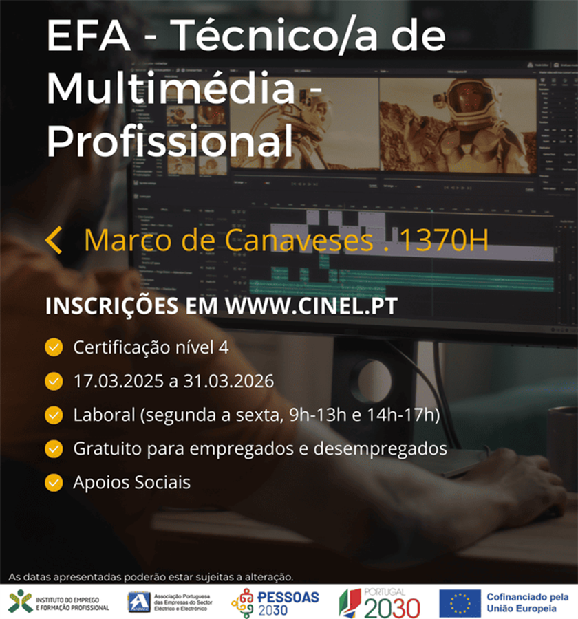 Técnico/a de Multimédia - Profissional